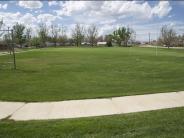 Sidewalk through field