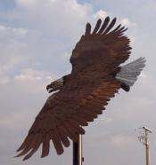 Eagle Statue flying - above view